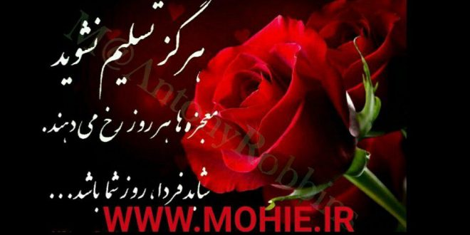 کارآفرینان موفق زن چه ویژگی هایی باید داشته باشند!؟ کارآفرینان موفق زن چه ویژگی هایی باید داشته باشند!؟